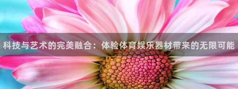 科技与艺术的完美融合：体验体育娱乐器材带来的无限可能