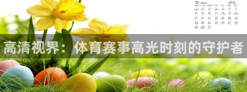 高清视界：体育赛事高光时刻的守护者