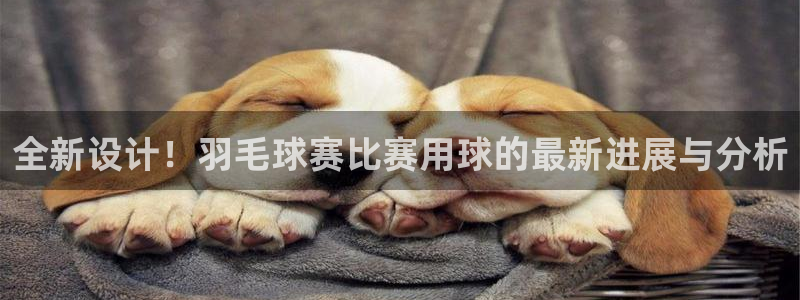 全新设计！羽毛球赛比赛用球的最新进展与分析