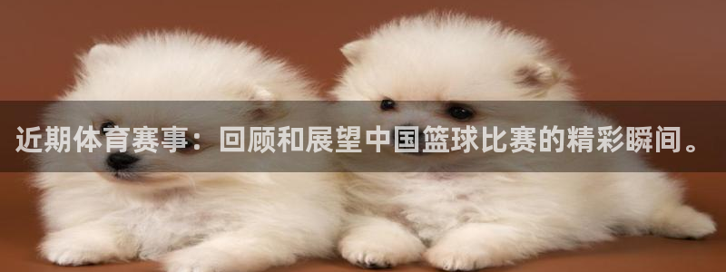 近期体育赛事：回顾和展望中国篮球比赛的精彩瞬间。