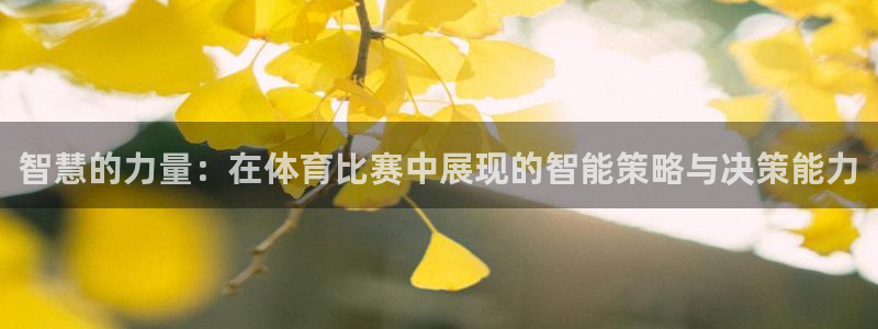 智慧的力量：在体育比赛中展现的智能策略与决策能力