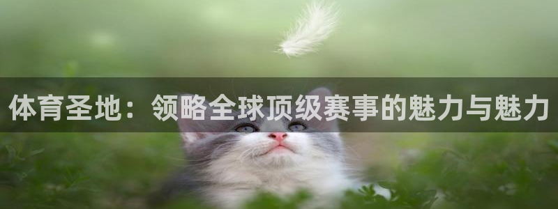 体育圣地：领略全球顶级赛事的魅力与魅力