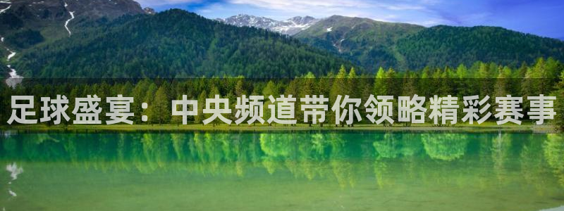 足球盛宴：中央频道带你领略精彩赛事