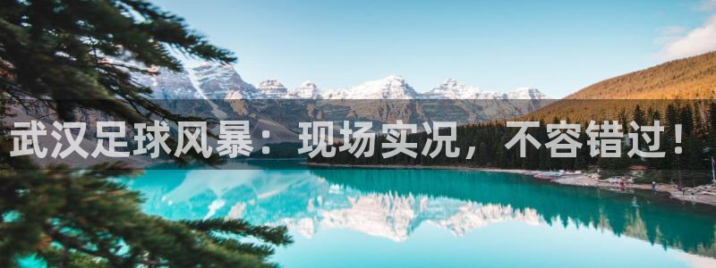 武汉足球风暴：现场实况，不容错过！