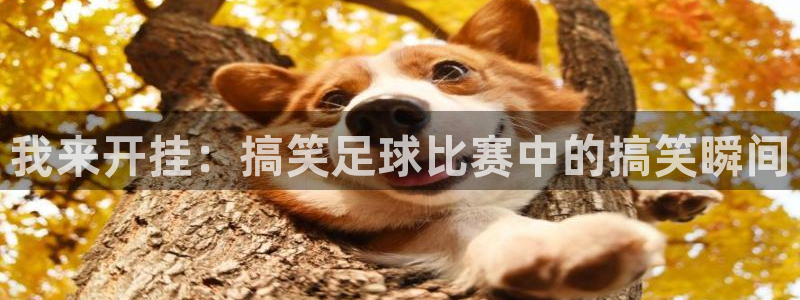 我来开挂：搞笑足球比赛中的搞笑瞬间