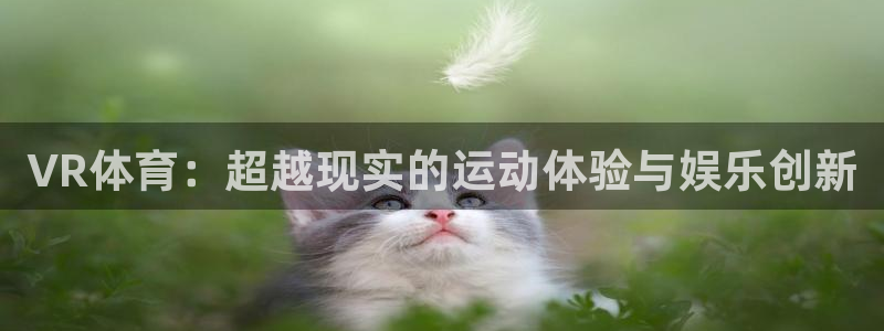 VR体育：超越现实的运动体验与娱乐创新